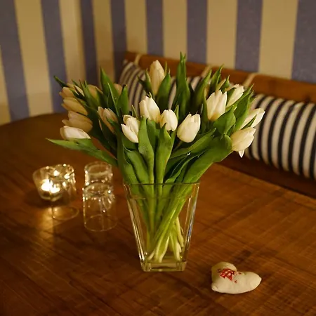 Goldbachhaeuschen Hébergement de vacances *