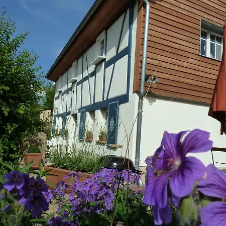 Casa de Férias Goldbachhaeuschen