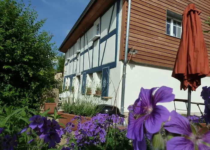 Prázdninový dům Goldbachhaeuschen